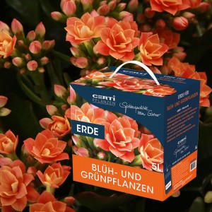 Erde Zimmerpflanzen 5 L - Erde Zimmerpflanzen - Care - 00007 - Certi