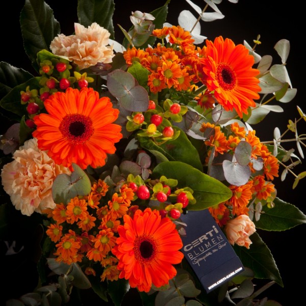 Gerbera Blumenstrauss Elten – orange – Snij Gereed produkt gemengd boeket – Blumen – 02174 – Certi Gerbera Blumenstrauss Elten – orange – Snij Gereed produkt gemengd boeket – Blumen – 02174 – Certi