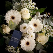 Gerbera Blumenstrauss Malta - violett - Snij Gereed produkt gemengd boeket - Blumen - 02175 - Certi