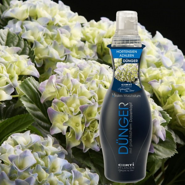 Hortensien und Azaleen Duenger 750 ml – Dunger Hydrangea und Azalea – Care – 00153 – Certi