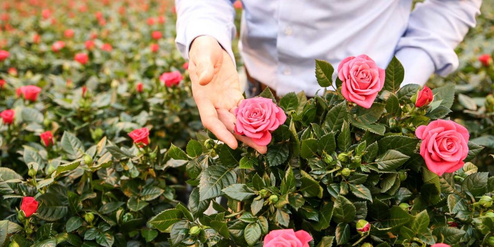 certi-highlight-blog-april-2016