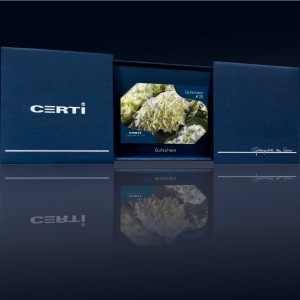  25 CERTI Geschenkgutschein - Gutschein - 01904 - Certi